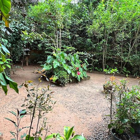 Ella Secret Paradise Dış mekan fotoğraf