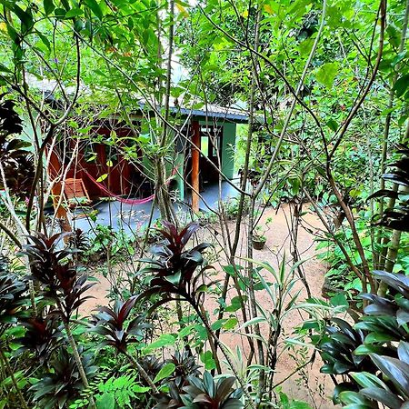 Ella Secret Paradise Dış mekan fotoğraf