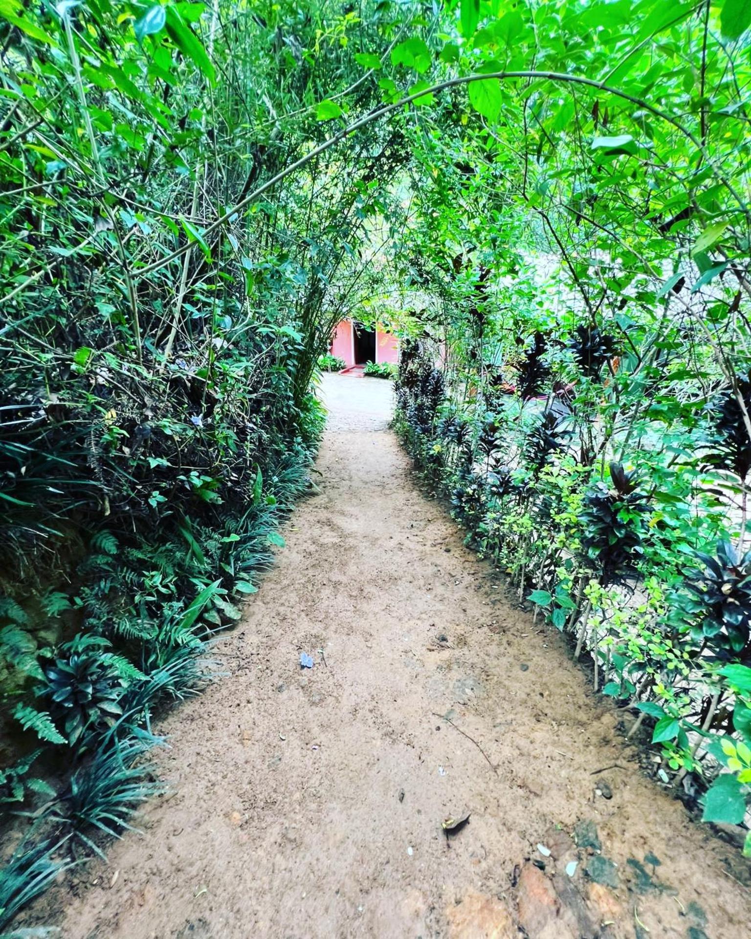 Ella Secret Paradise Dış mekan fotoğraf