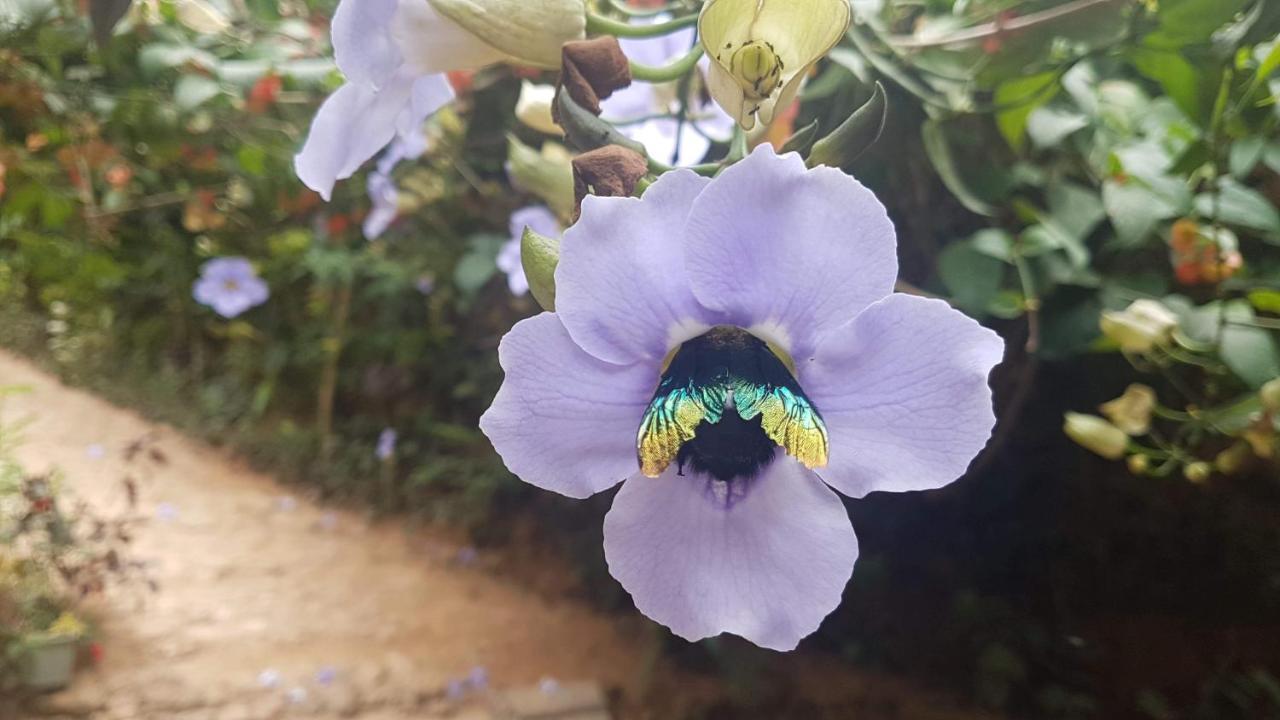 Ella Secret Paradise Dış mekan fotoğraf